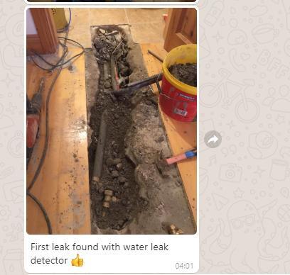 Détecteur de fuite d'eau de tuyauterie de 50 cm intérieur Pqwt-L50 4